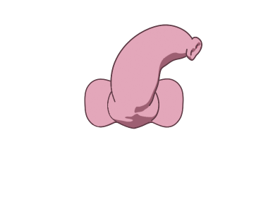 ลายที่ 5