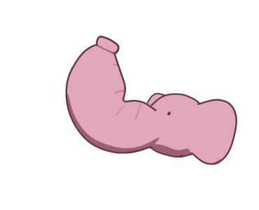 ลายที่ 11