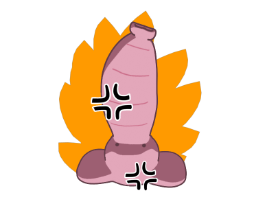 ลายที่ 31