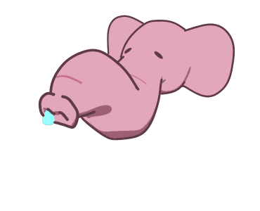 ลายที่ 43