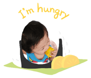 678244060