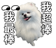 678250036