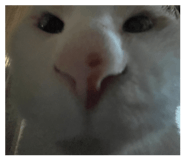 678285477