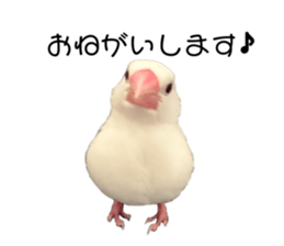 678307064