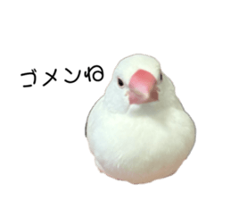 678307066
