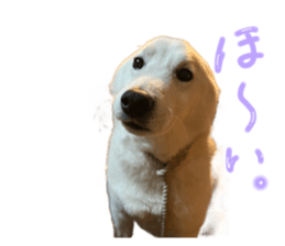 678321294