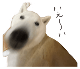 678321305