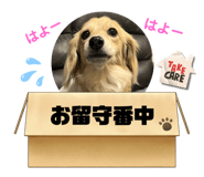 678338065
