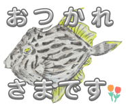 678361842