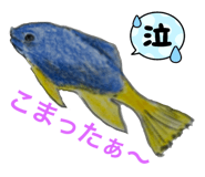 678361844