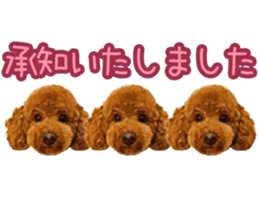 678370687