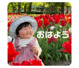 678371564