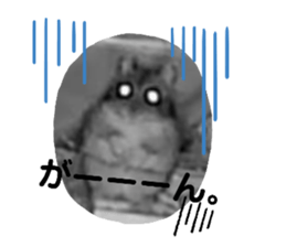 678402897