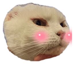 678428403