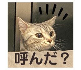 678428410