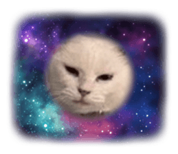 678428421