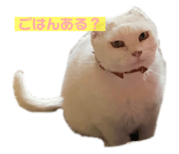678428437