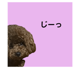 678431964