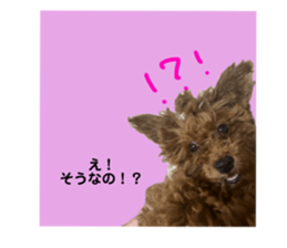 678431973