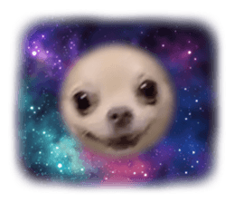 678434422
