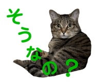 678436512