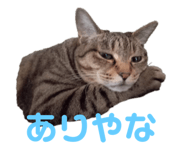 678436513