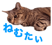 678436514