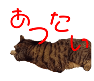 678436516