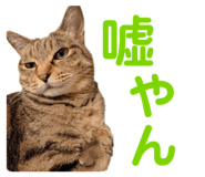678436518
