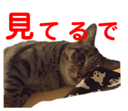678436519