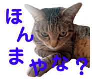 678436528