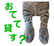 678436534