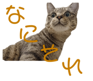 678436535