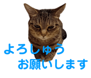 678436539