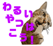 678436541
