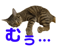 678436544