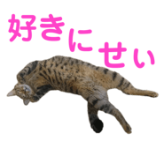 678436545