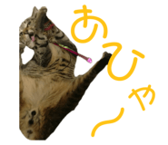 678436546