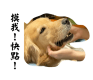 678438697