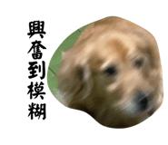 678438698