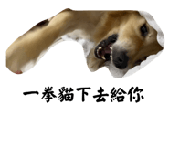 678438709