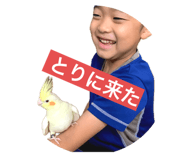 678442391