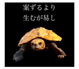 678452011