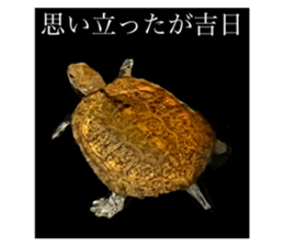 678452014