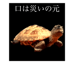 678452015