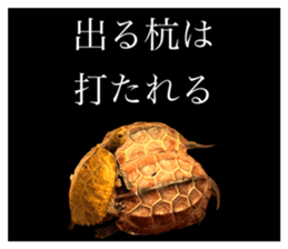 678452019