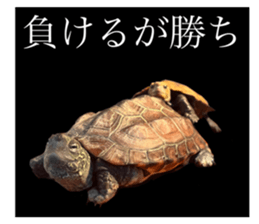 678452022