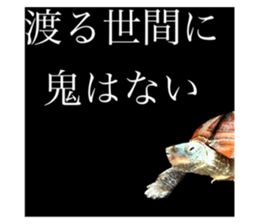 678452025