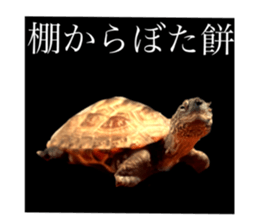 678452028