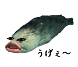 678453176
